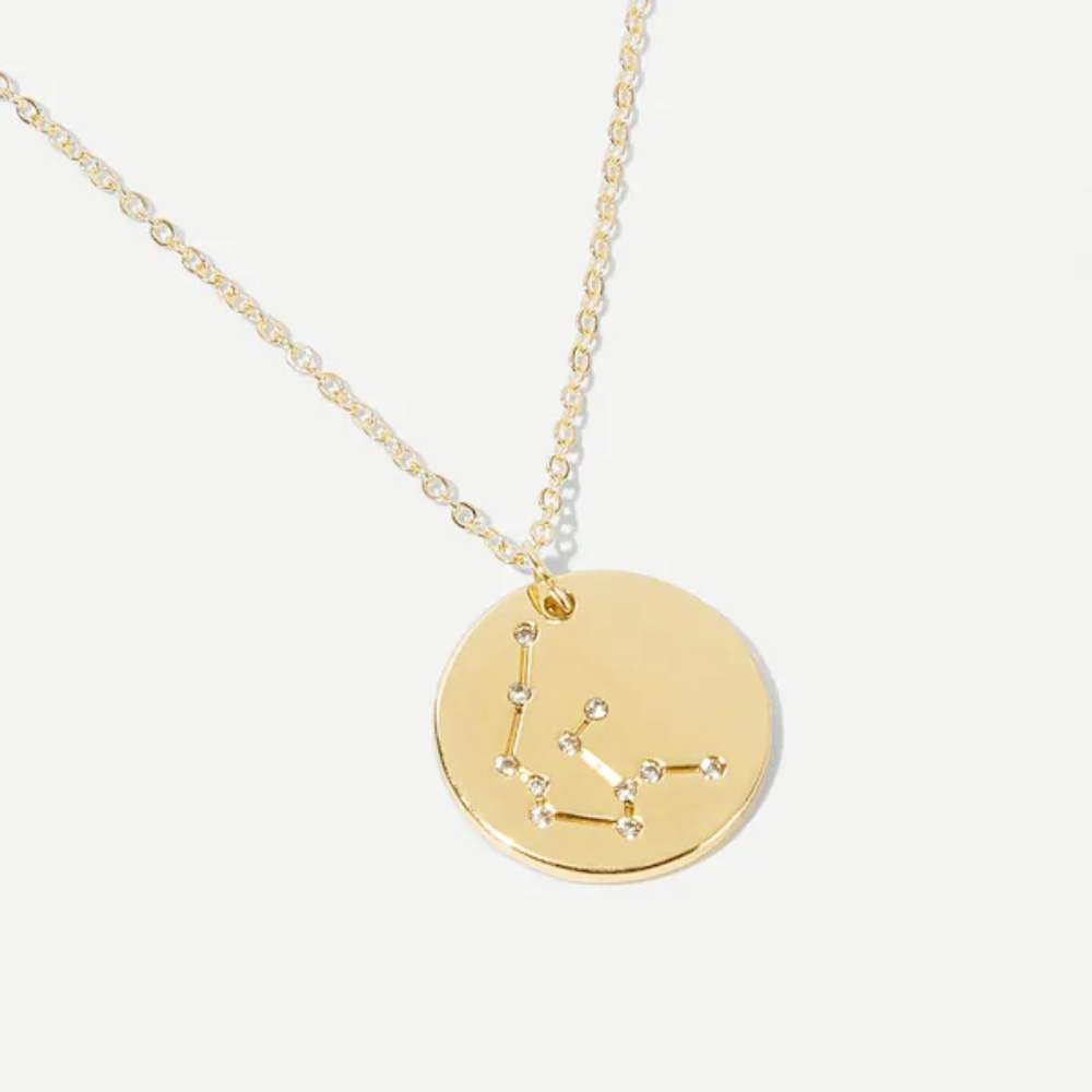 Aquarius Astrology Pendant Necklace - Picture 1 of 5